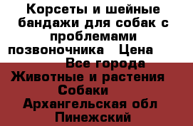 Корсеты и шейные бандажи для собак с проблемами позвоночника › Цена ­ 2 500 - Все города Животные и растения » Собаки   . Архангельская обл.,Пинежский 